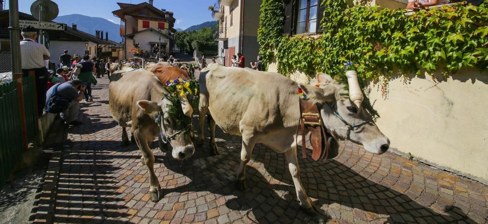 Un triplo salto nella tradizione nel Primiero